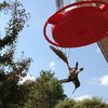 Praying Mantises Are Eating Bird Brains All Over The World!