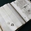 Video: Cats Are Assholes 3