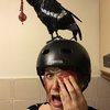 Video: Halloween Is Near! 7