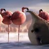 Video: If All Animals Were Fat We Wouldn't Be Able To Take Them Seriously