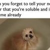 Video: Animal Water Nopes!