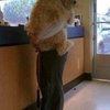 Video: The Vet You Say? Ummm... Nope!