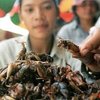 Enjoy A Delicious Tarantula Dinner In Thailand 2