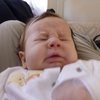 Video: Your Daily Dose Of Cuteness That Will Make Your Year! 3