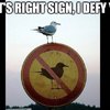 Video: The Most Dangerous Rebels Of The Century