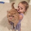 Video: FaceSwaps that make you go 'WOAH'!