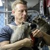Video: From Mafia To Animaltarian – The Dogfather's Sanctuary Of Any Animal's Dreams!