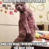 Video: Memes That Are So Relatable, They're Basically You