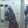 Video: Through The Looking Glass Of Dustin Yellin's Art 4