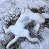Video: When Facing The Inconvenience Of Snow, Make Art! 2