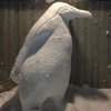Video: When Facing The Inconvenience Of Snow, Make Art! 18