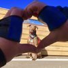 Video: Setting The Bar High For Dogs Around The World!