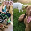 Video: Setting The Bar High For Dogs Around The World! 2