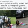 Video: Parents Who Just Gave Up With Their Toddlers