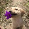 Video: When Your Pet Reminds You That They Love You! 3