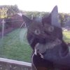Video: When Your Pet Reminds You That They Love You! 4