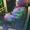 Video: Disturbing Fashion Fails That Will Traumatise You Forever 6