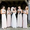 Video: Scrap The Flowers! Take The Puppies! 2