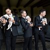 Video: Scrap The Flowers! Take The Puppies! 3