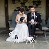 Video: Scrap The Flowers! Take The Puppies! 4