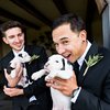 Video: Scrap The Flowers! Take The Puppies! 8
