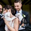 Video: Scrap The Flowers! Take The Puppies! 9