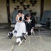 Video: Scrap The Flowers! Take The Puppies! 11