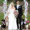 Video: Scrap The Flowers! Take The Puppies! 12