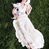 Video: Scrap The Flowers! Take The Puppies! 13
