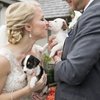 Video: Scrap The Flowers! Take The Puppies! 16