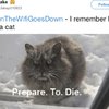 Video: Despair And Darkness Takes Over When The Internet Is Down