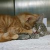 The Puuuuurfect Thing To Make Your Day!
