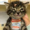 The Puuuuurfect Thing To Make Your Day!