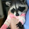 The Puuuuurfect Thing To Make Your Day!