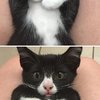 The Puuuuurfect Thing To Make Your Day!