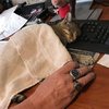 The Puuuuurfect Thing To Make Your Day!