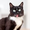 The Puuuuurfect Thing To Make Your Day!