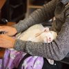 The Puuuuurfect Thing To Make Your Day!