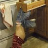 Video: The Culprit Was Caught In The Act! 2