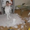 Video: The Culprit Was Caught In The Act! 3