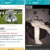 'i'll Shop Online, What Could Go Wrong?'