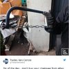 'i'll Shop Online, What Could Go Wrong?'