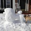 Video: Dogs Who Just Couldn't Contain Their Joy In The Snow! 2
