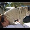 Video: What Do You Mean I Can't Be Touching You All The Time, Human?