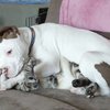 Video: What Do You Mean I Can't Be Touching You All The Time, Human?