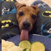 Video: What Do You Mean I Can't Be Touching You All The Time, Human?