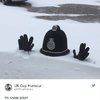 Donut Miss These Hilarious Cops!