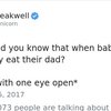 Move Aside Ryan Reynolds! A New Twitter Dad Is In The Spotlight!
