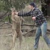 Video: Man Punches A Kangaroo To Save His Dog
