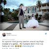 Video: Wedding Disasters And Fails That Couples Will Never Forget 19